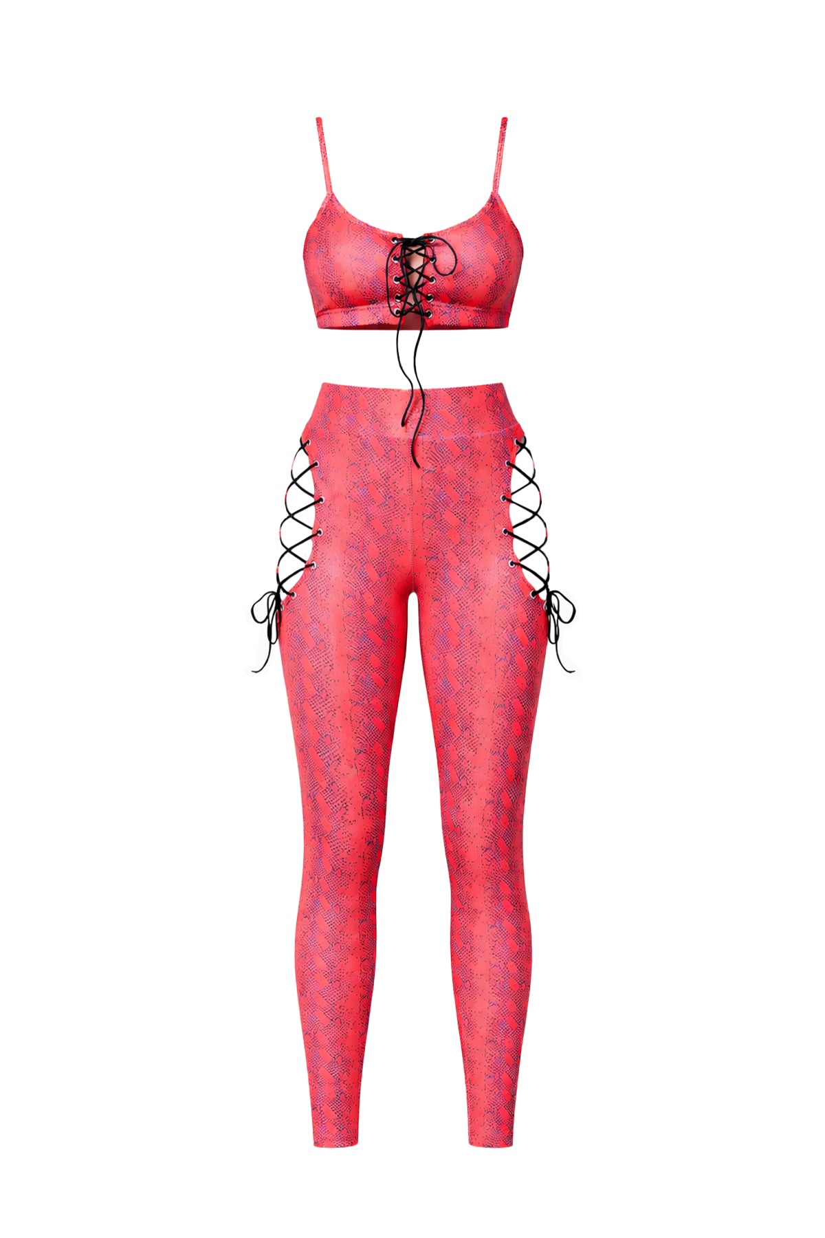 AS259S-red