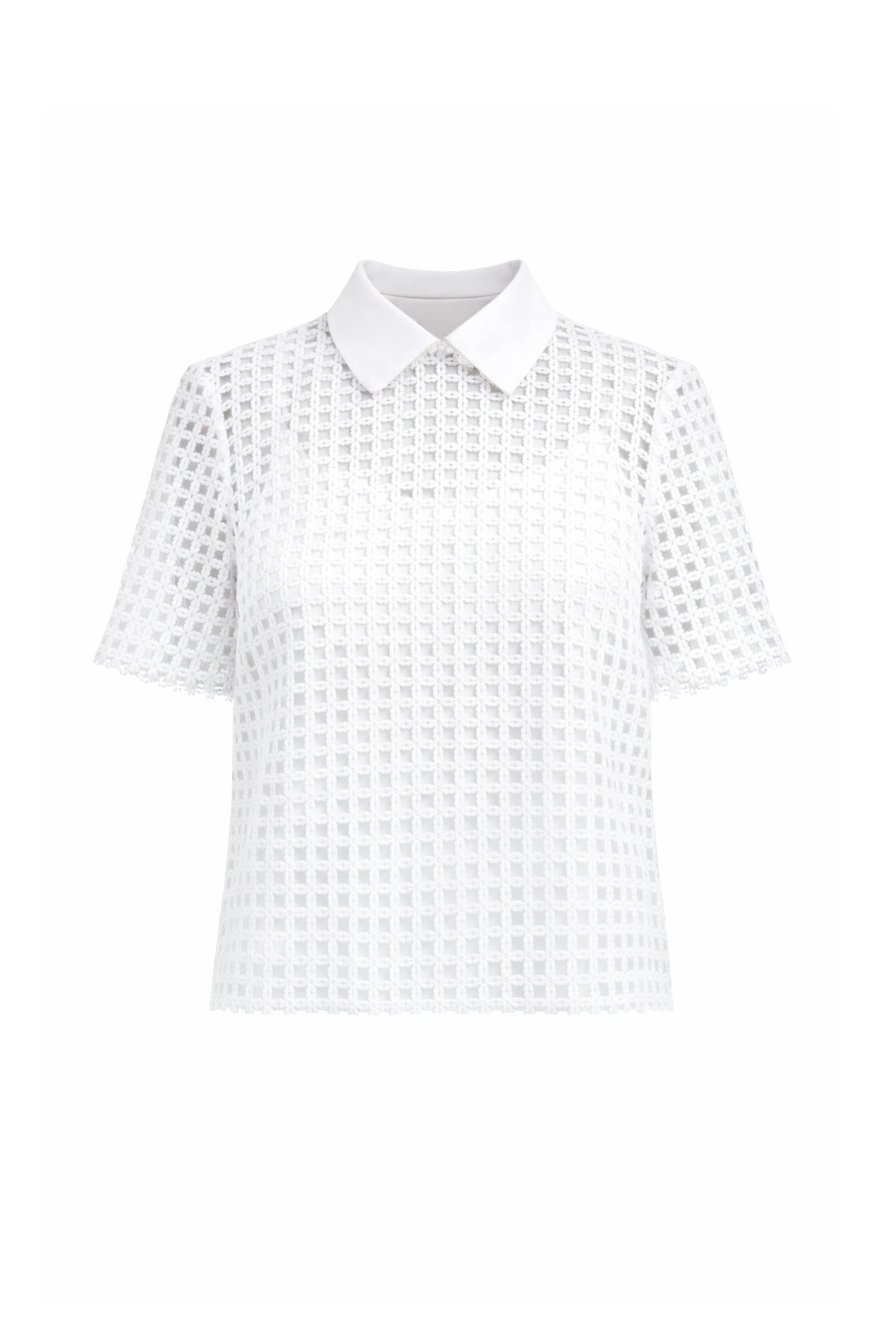 BO070T-white