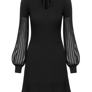 Puff & Mesh Rib Knit Long Pleated Sleeve Top & Mini Skirt Set